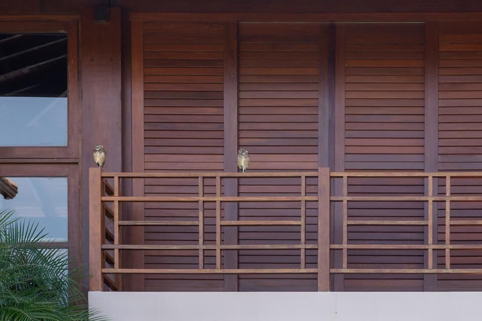 Casa no melhor Condomínio na Praia do Forte - BA com Acesso Exclusivo  á praia Piscinas Naturais. — foto 4